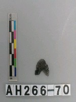 藏品(打製石鏃)的圖片